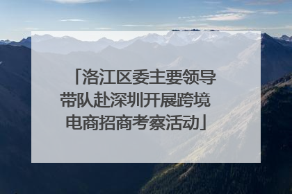 洛江区委主要领导带队赴深圳开展跨境电商招商考察活动