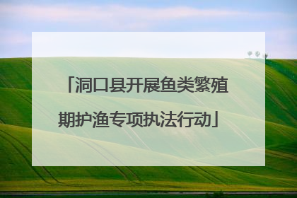 洞口县开展鱼类繁殖期护渔专项执法行动