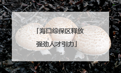 海口综保区释放强劲人才引力