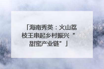 海南秀英：火山荔枝王串起乡村振兴“甜蜜产业链”