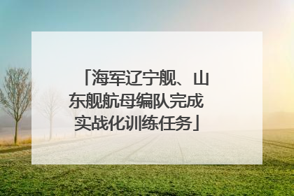 海军辽宁舰、山东舰航母编队完成实战化训练任务