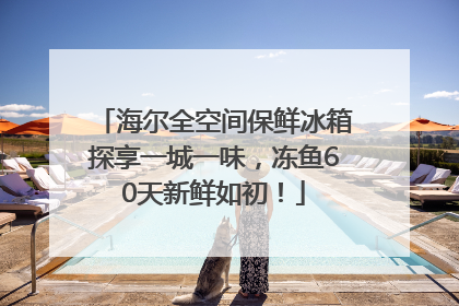 海尔全空间保鲜冰箱探享一城一味，冻鱼60天新鲜如初！