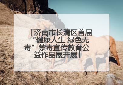 济南市长清区首届“健康人生 绿色无毒”禁毒宣传教育公益作品展开展