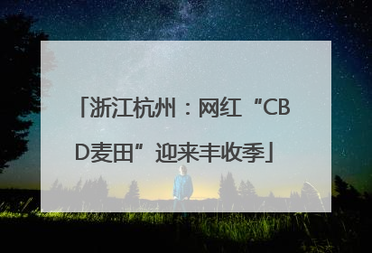 浙江杭州：网红“CBD麦田”迎来丰收季