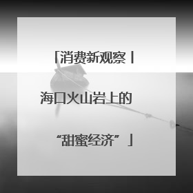 消费新观察丨海口火山岩上的“甜蜜经济”