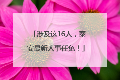 涉及这16人，泰安最新人事任免！