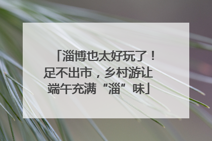 淄博也太好玩了！足不出市，乡村游让端午充满“淄”味