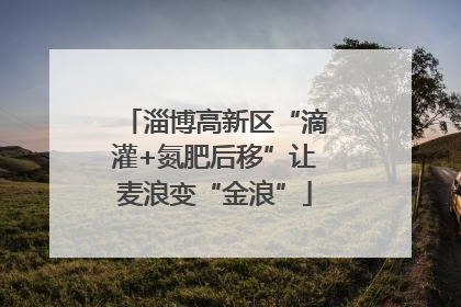 淄博高新区“滴灌+氮肥后移”让麦浪变“金浪”