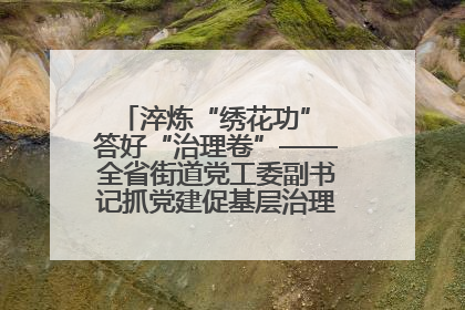 淬炼“绣花功” 答好“治理卷”——全省街道党工委副书记抓党建促基层治理培训示范班侧记