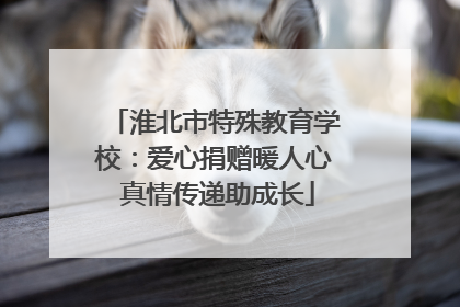 淮北市特殊教育学校：爱心捐赠暖人心 真情传递助成长