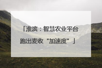 淮滨：智慧农业平台跑出麦收“加速度”