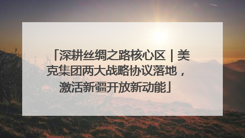 深耕丝绸之路核心区｜美克集团两大战略协议落地，激活新疆开放新动能