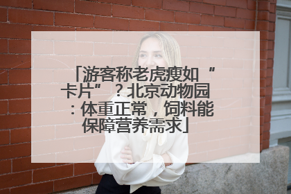 游客称老虎瘦如“卡片”？北京动物园：体重正常，饲料能保障营养需求