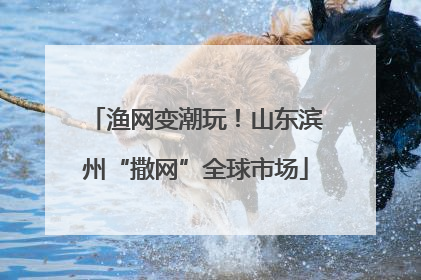 渔网变潮玩！山东滨州“撒网”全球市场