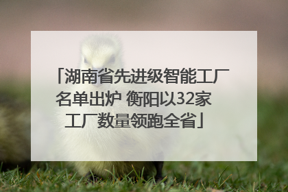 湖南省先进级智能工厂名单出炉 衡阳以32家工厂数量领跑全省