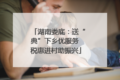 湖南娄底：送“典”下乡优服务 税惠进村助振兴