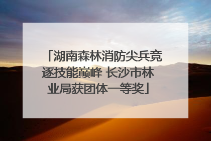 湖南森林消防尖兵竞逐技能巅峰 长沙市林业局获团体一等奖