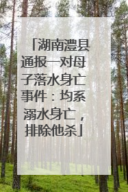 湖南澧县通报一对母子落水身亡事件：均系溺水身亡，排除他杀