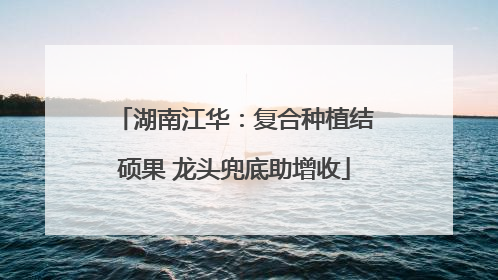 湖南江华：复合种植结硕果 龙头兜底助增收