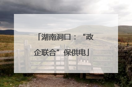 湖南洞口：“政企联合”保供电