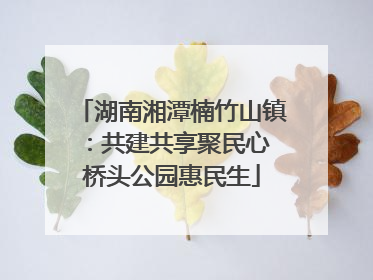 湖南湘潭楠竹山镇：共建共享聚民心 桥头公园惠民生
