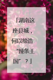 湖南这座县城，何以缔造“辣条王国”？