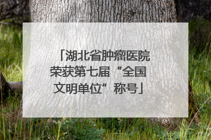 湖北省肿瘤医院荣获第七届“全国文明单位”称号