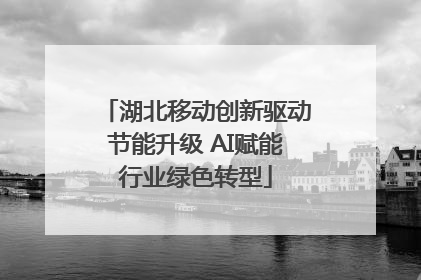 湖北移动创新驱动节能升级 AI赋能行业绿色转型