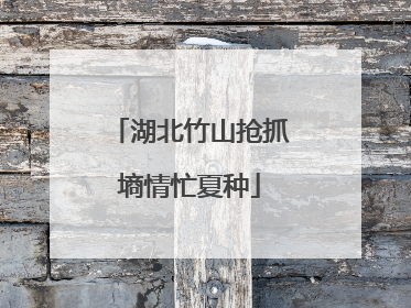 湖北竹山抢抓墒情忙夏种