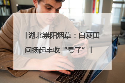 湖北崇阳烟草：白芨田间扬起丰收“号子”