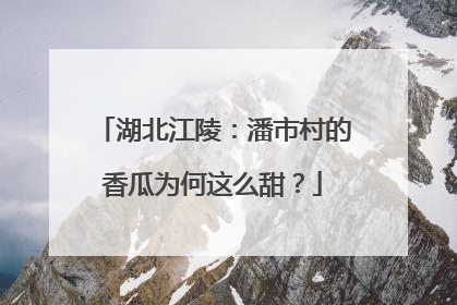 湖北江陵：潘市村的香瓜为何这么甜？
