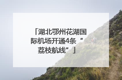 湖北鄂州花湖国际机场开通4条“荔枝航线”
