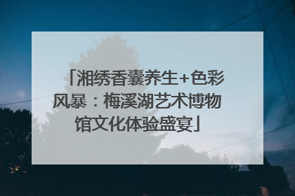 湘绣香囊养生+色彩风暴：梅溪湖艺术博物馆文化体验盛宴