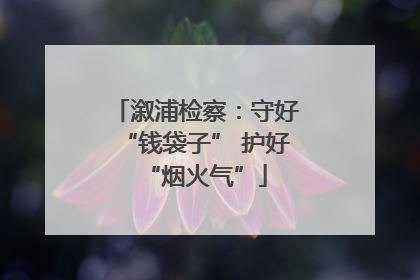 溆浦检察：守好“钱袋子” 护好“烟火气”