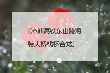 漳汕高铁东山跨海特大桥栈桥合龙