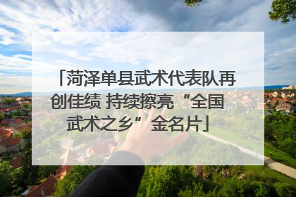菏泽单县武术代表队再创佳绩 持续擦亮“全国武术之乡”金名片