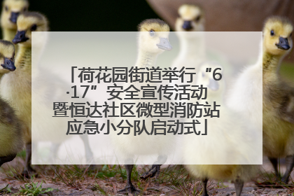 荷花园街道举行“6·17”安全宣传活动暨恒达社区微型消防站应急小分队启动式