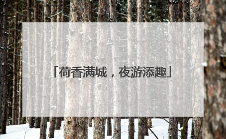 荷香满城，夜游添趣