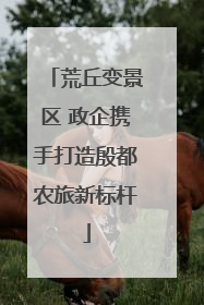 荒丘变景区 政企携手打造殷都农旅新标杆