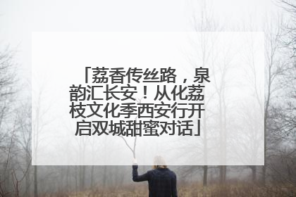 荔香传丝路，泉韵汇长安！从化荔枝文化季西安行开启双城甜蜜对话