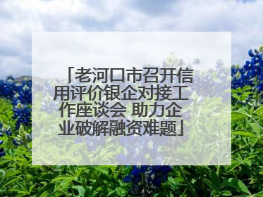 老河口市召开信用评价银企对接工作座谈会 助力企业破解融资难题