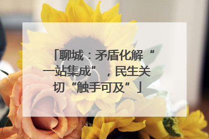 聊城：矛盾化解“一站集成”，民生关切“触手可及”