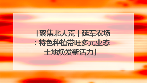 聚焦北大荒｜延军农场：特色种植带旺多元业态 土地焕发新活力