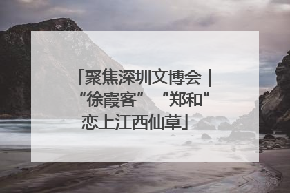 聚焦深圳文博会｜“徐霞客”“郑和”恋上江西仙草