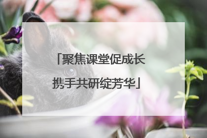 聚焦课堂促成长 携手共研绽芳华