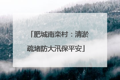 肥城南栾村：清淤疏堵防大汛保平安