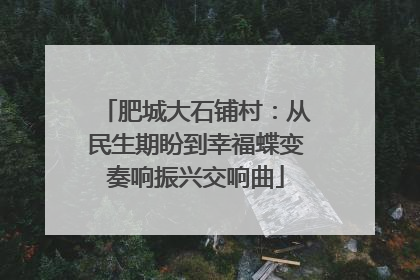 肥城大石铺村：从民生期盼到幸福蝶变奏响振兴交响曲