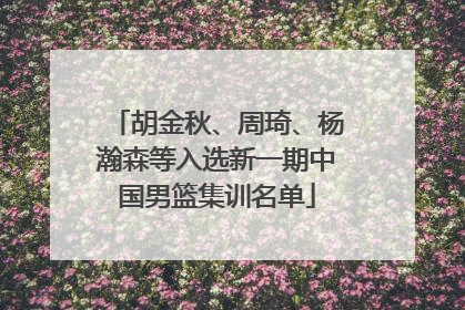胡金秋、周琦、杨瀚森等入选新一期中国男篮集训名单