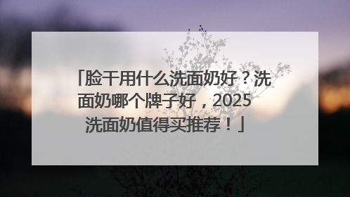 脸干用什么洗面奶好？洗面奶哪个牌子好，2025洗面奶值得买推荐！