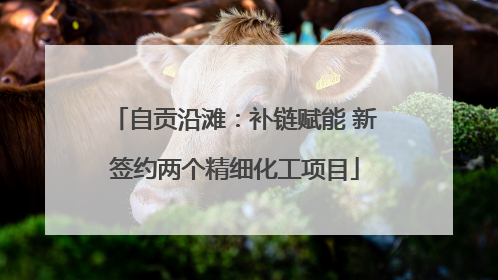 自贡沿滩：补链赋能 新签约两个精细化工项目